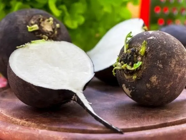 How to plant black radish