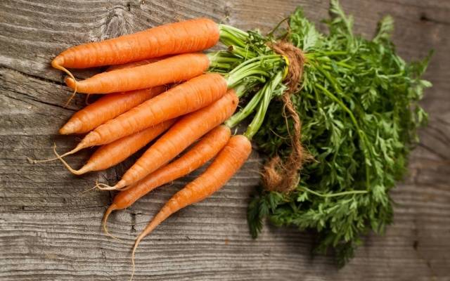 How to plant granulated carrots