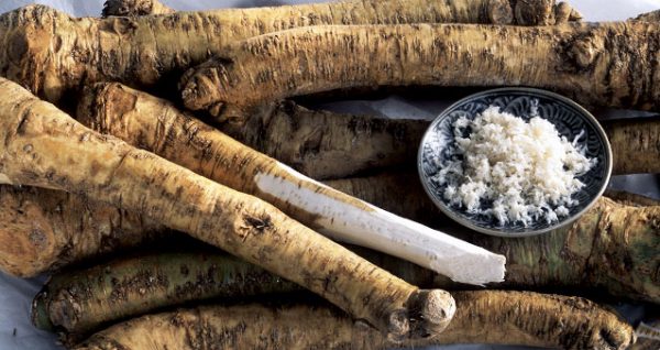 How to plant horseradish in the garden and how to care for it
