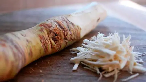 How to plant horseradish in the garden and how to care for it