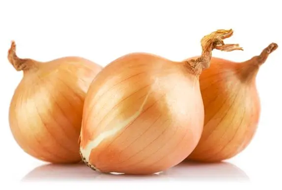 How to plant onion garlic 