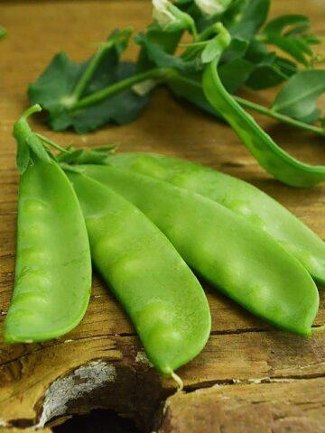 How to plant peas at home