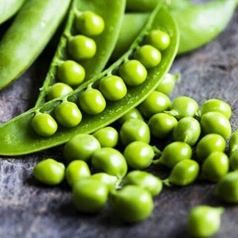 How to plant peas at home