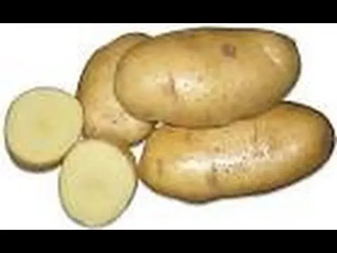 How to plant potatoes: tips for beginners