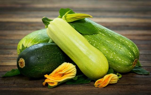 How to plant zucchini seedlings in open ground