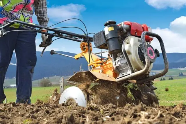 How to plow with a walk-behind tractor: with a plow, with cutters, with an adapter, video