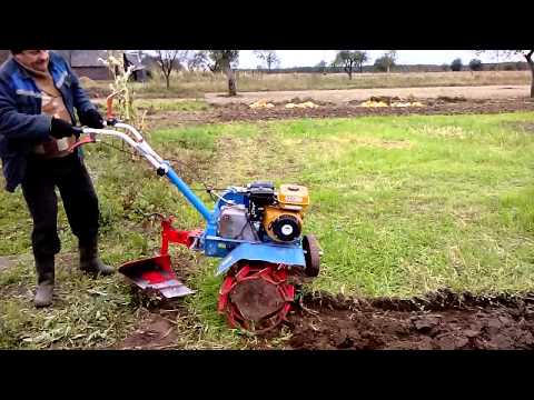 How to plow with a walk-behind tractor: with a plow, with cutters, with an adapter, video