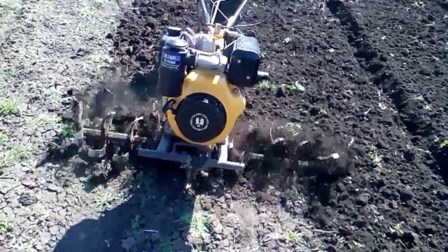 How to plow with a walk-behind tractor: with a plow, with cutters, with an adapter, video