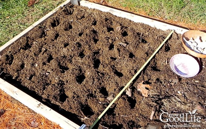 How to prepare a bed for garlic in the fall for planting