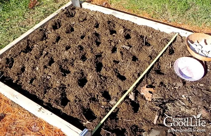 How to prepare a bed for garlic in the fall for planting