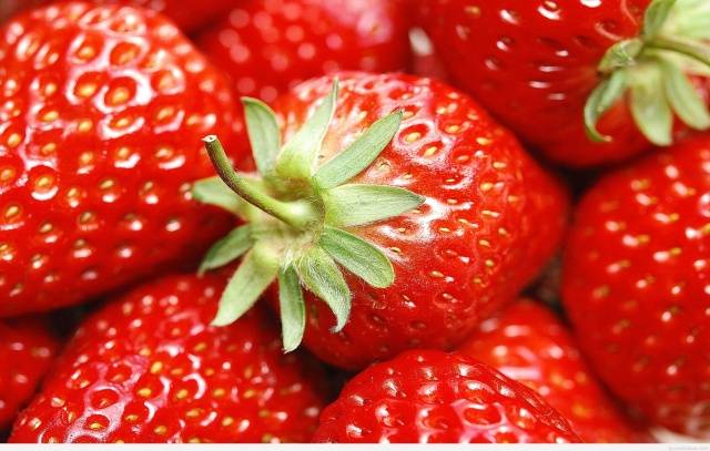 How to prepare a bed for strawberries in the fall