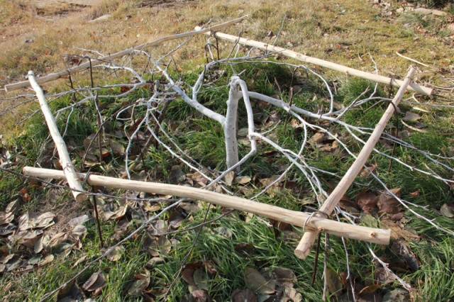 How to prepare an apple tree for winter in the Urals 