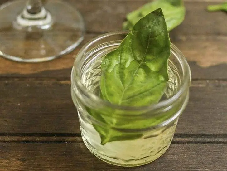 How to prepare basil for the winter: an overview of the best options, choosing a storage location