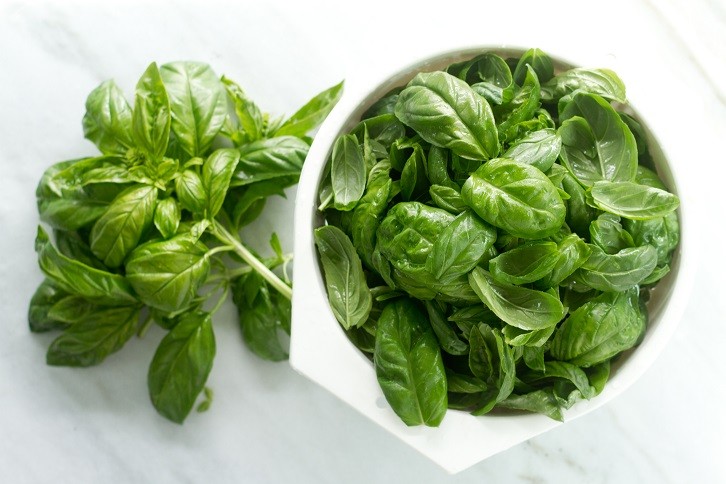 How to prepare basil for the winter: an overview of the best options, choosing a storage location