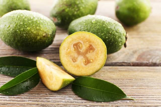 How to prepare feijoa for the winter