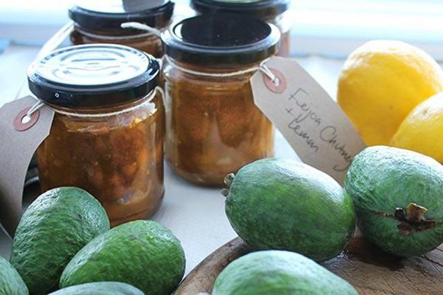 How to prepare feijoa for the winter