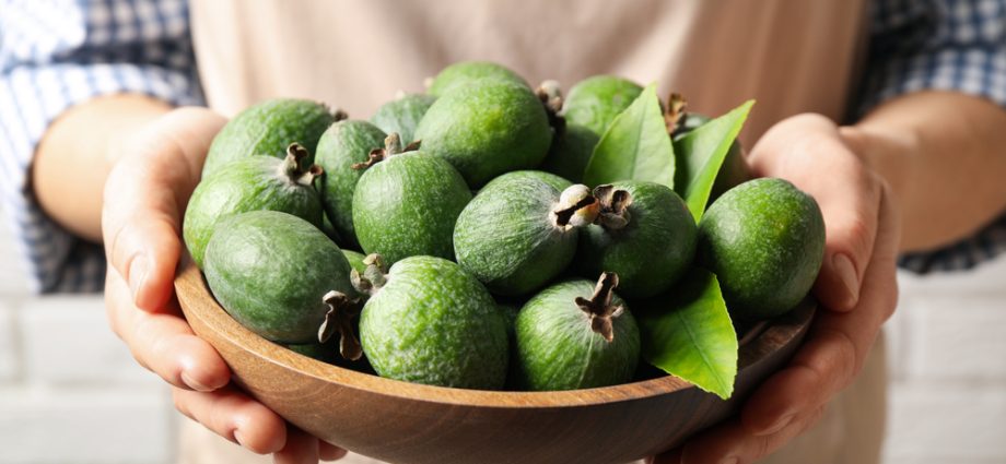 How to prepare feijoa for the winter