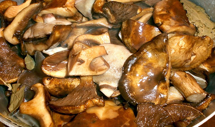 How to prepare milk mushrooms for the winter at home