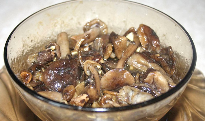 How to prepare milk mushrooms for the winter at home