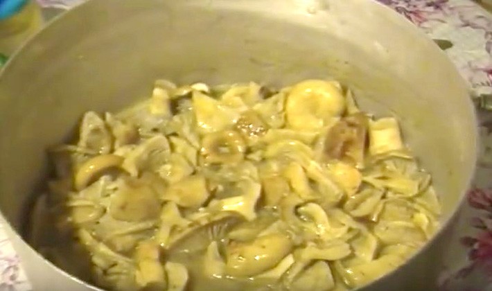 How to prepare milk mushrooms for the winter at home