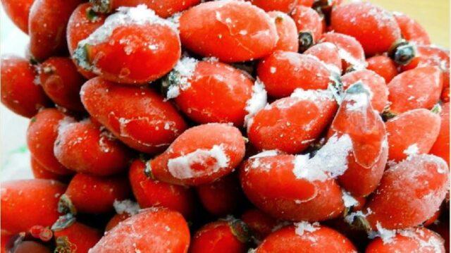 How to prepare rose hips for the winter at home