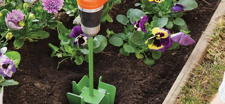 How to prepare the soil and dig a hole for planting