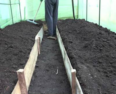 How to prepare the soil for planting cucumbers