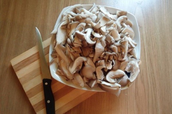 How to preserve oyster mushrooms for the winter at home