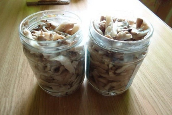 How to preserve oyster mushrooms for the winter at home