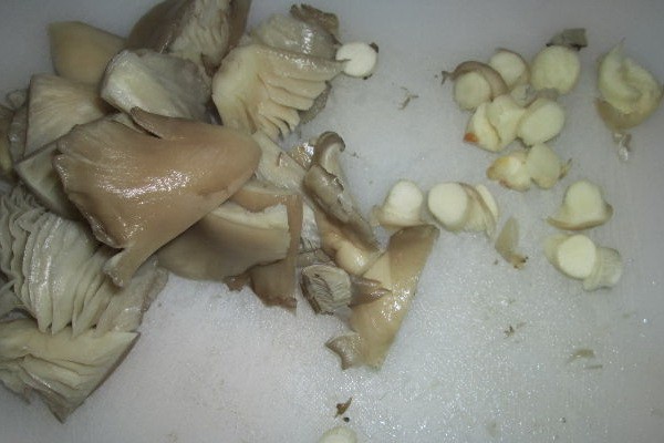 How to preserve oyster mushrooms for the winter at home