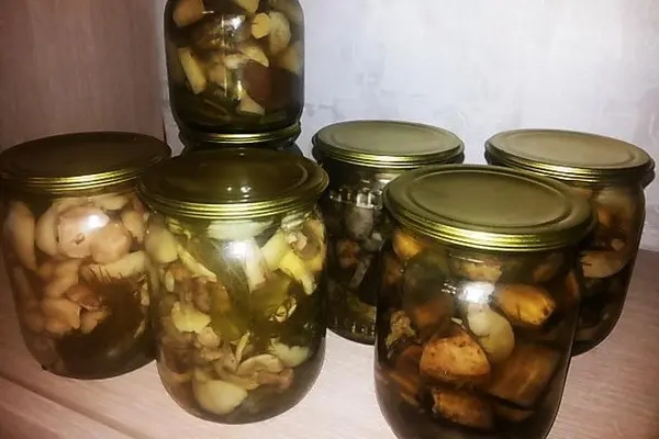 How to preserve oyster mushrooms for the winter at home