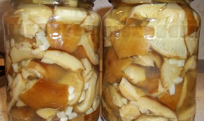 How to preserve porcini mushrooms at home