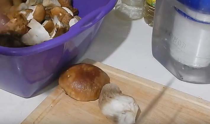 How to preserve porcini mushrooms at home