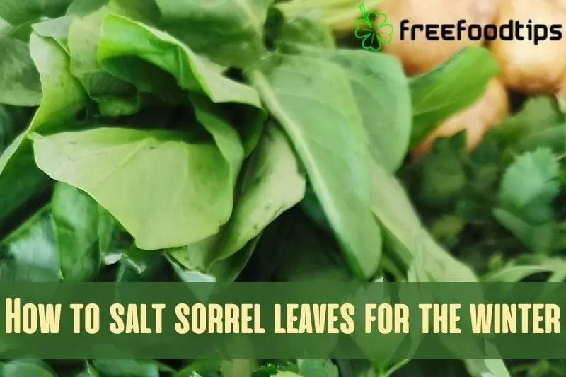 How to preserve sorrel