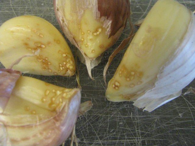 How to process garlic from pests