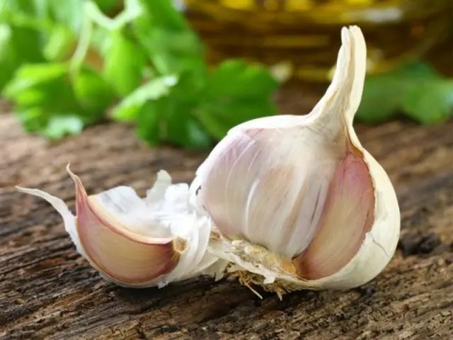 How to process garlic in the fall before planting