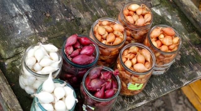 How to process onions before planting