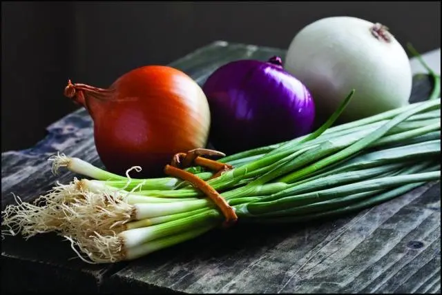 How to process onions before planting