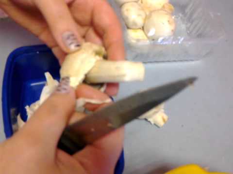 How to process porcini mushrooms before cooking