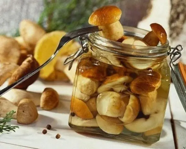 How to process porcini mushrooms before cooking