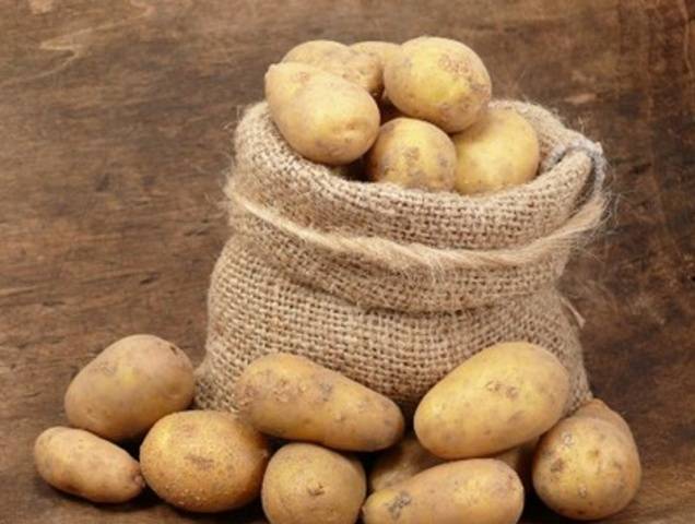 How to process potatoes before planting