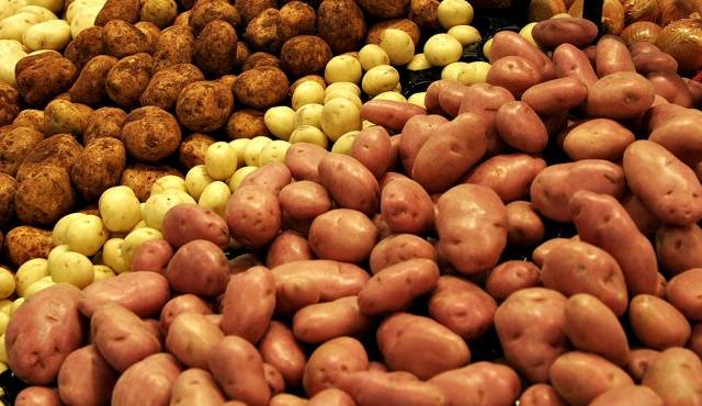 How to process potatoes before planting