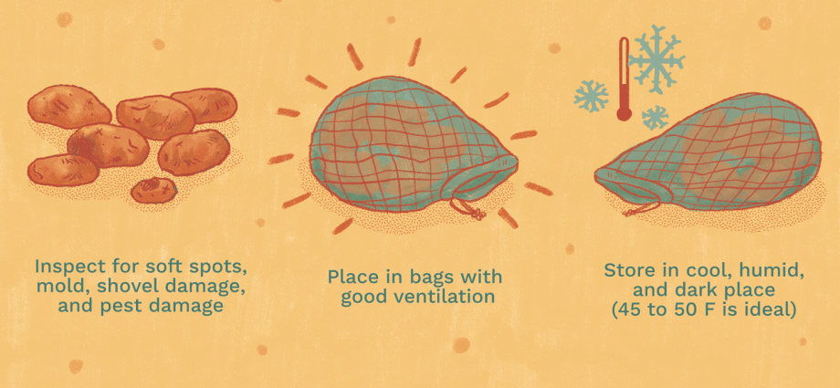 How to process potatoes for storage 