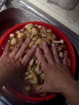 How to properly clean mushrooms before cooking