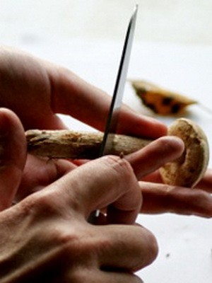 How to properly clean mushrooms before cooking