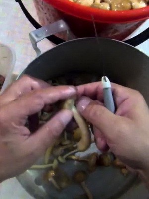 How to properly clean mushrooms before cooking