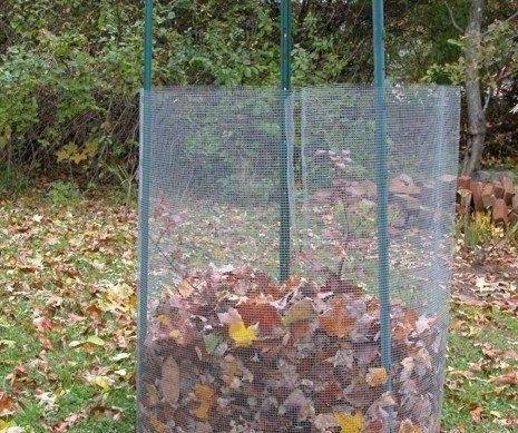 How to properly cover roses for the winter