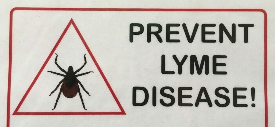 How to protect a child from a tick? Practical advice, what is worth remembering?