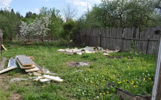 How to protect strawberries from weeds 