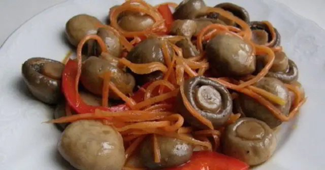 How to quickly and tasty pickle champignons at home: recipes with photos with onions, garlic